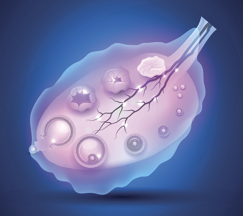 上海试管精子医院哪家好？2026年排名前五医院实力对比及费用全解析，附本地医生推荐与选择指南